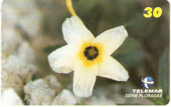 MG-1163 - Floradas - 4/4