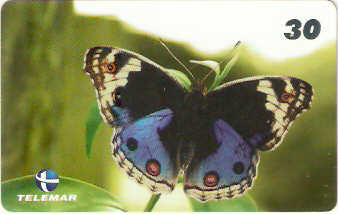 MG-1165 - Borboleta