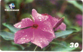 MG-1166 - Maria-sem-Vergonha