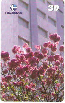 MG-1167 - Ipê Roxo