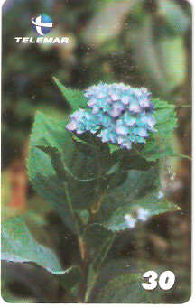 MG-1168 - Hortência