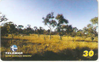 MG-1210 - Cerrado Mineiro - 1/5