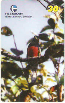 MG-1211 - Cerrado Mineiro - 2/5