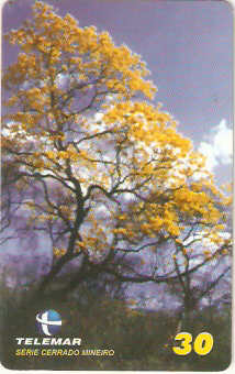 MG-1212 - Cerrado Mineiro - 3/5