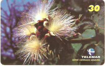 MG-1213 - Cerrado Mineiro - 4/5