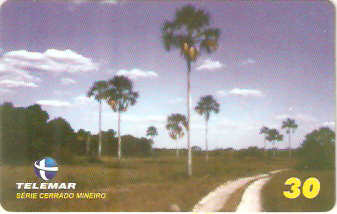 MG-1214 - Cerrado Mineiro - 5/5