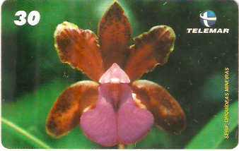MG-1267 - Orquídeas - 4/6
