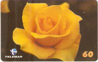 MG-1273 - Pensamentos - MD03