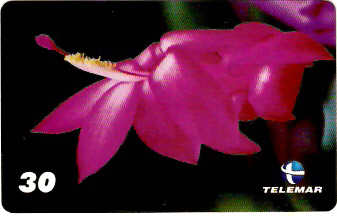 MG-1276 - Flor de Seda