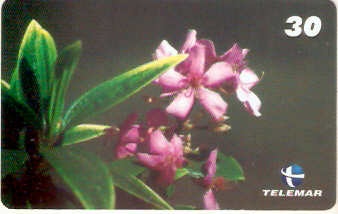MG-1277 - Flor de Quaresmeira