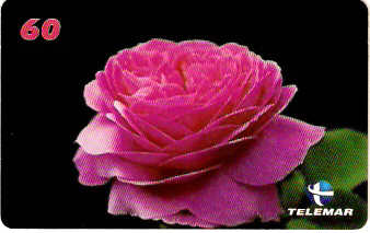 MG-1284 - Pensamentos - MD04