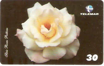 MG-1327 - Rosas Poéticas - 2/6