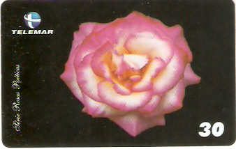 MG-1328 - Rosas Poéticas - 3/6