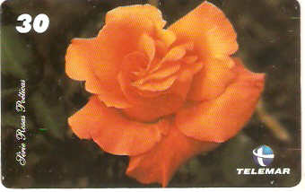 MG-1330 - Rosas Poéticas - 5/6