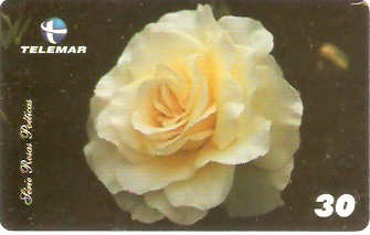 MG-1331 - Rosas Poéticas - 6/6