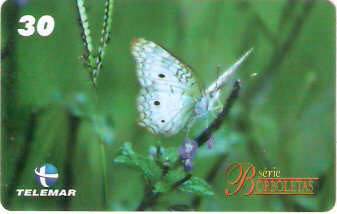 MG-1336 - Borboletas - 01/10