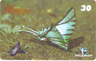 MG-1337 - Borboletas - 02/10