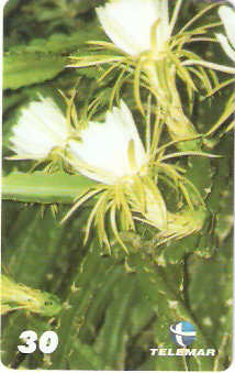 MG-1347 - Pensamentos - MD13