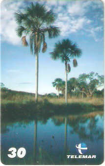 MG-1391 - Rios de Minas - 3/4