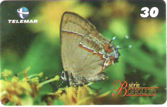 MG-1394 - Borboletas - 04/10