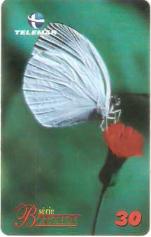 MG-1396 - Borboletas - 06/10