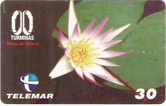 MG-0182M - Parque Rio Doce