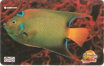 MLS-MU-023 - Peixe Azul