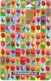 RU-MG-TS-128 - Tulipas