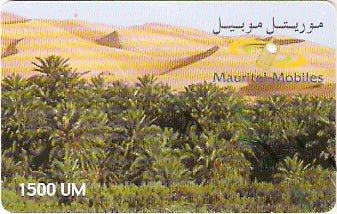 MRT-06 - Oasis do Saara