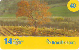 MSC09-02 - Outono 2