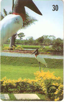 MS-059 - A Arte Imita a Vida