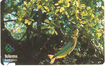 MS-160 - Peixe na Isca - 2/7