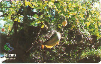 MS-161 - Peixe na Isca - 3/7