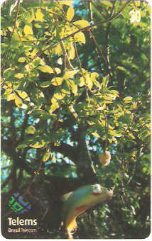 MS-162 - Peixe na Isca - 4/7