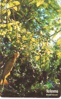 MS-163 - Peixe na Isca - 5/7