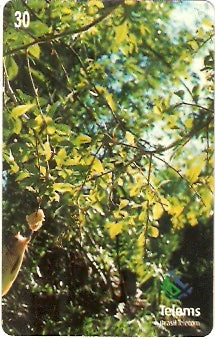 MS-164 - Peixe na Isca - 6/7