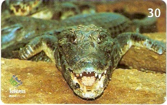 MS-179 - Jacaré - 1/6