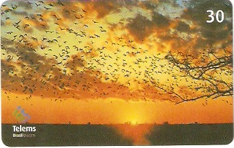 MS-181 - Por do Sol - 2/4