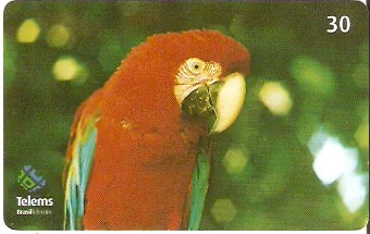 MS-188 - Arara Vermelha