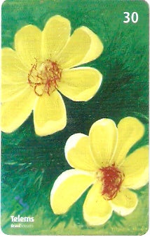 MS-204 - Flores - 2/6