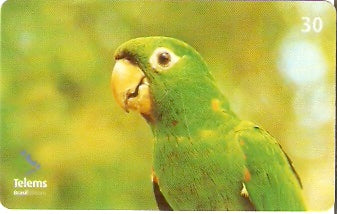 MS-205 - Dia do Animal