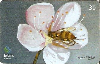 MS-221 - Flores - 6/6