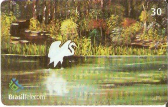 MS-229 - Paisagens - 12/12