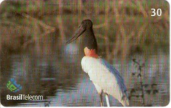 MS-236 - Tuiuiú - 1/2