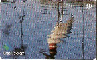 MS-237 - Tuiuiú - 2/2