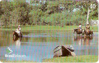 MS-262 - Homem Pantaneiro