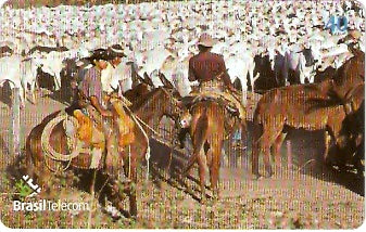 MS-264 - Boiada da Comitiva