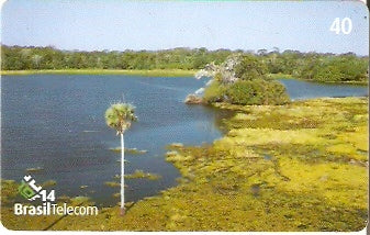 MS-278 - Baías Pantaneiras - 4/4