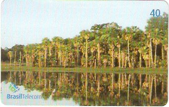 MS-280 - Salinas Pantaneiras - 4/4