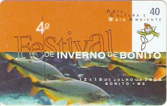 MS-281 - Festival de Bonito